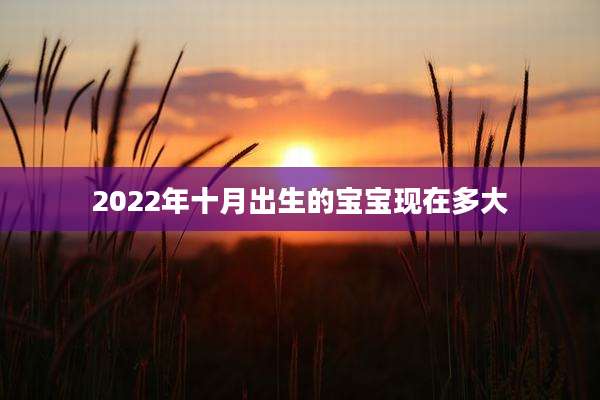 2022年十月出生的宝宝现在多大