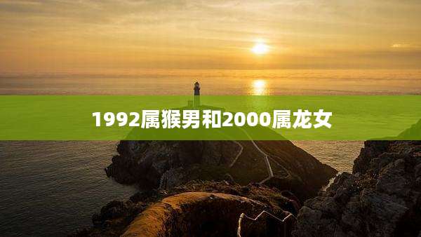 1992属猴男和2000属龙女