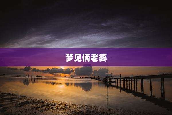 梦见俩老婆