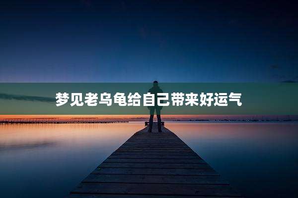 梦见老乌龟给自己带来好运气