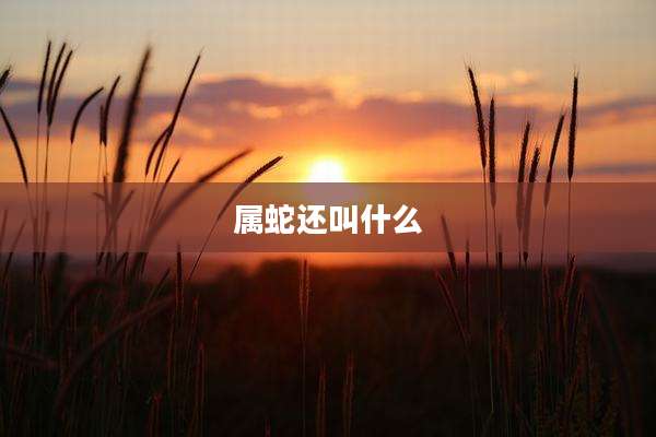 属蛇还叫什么
