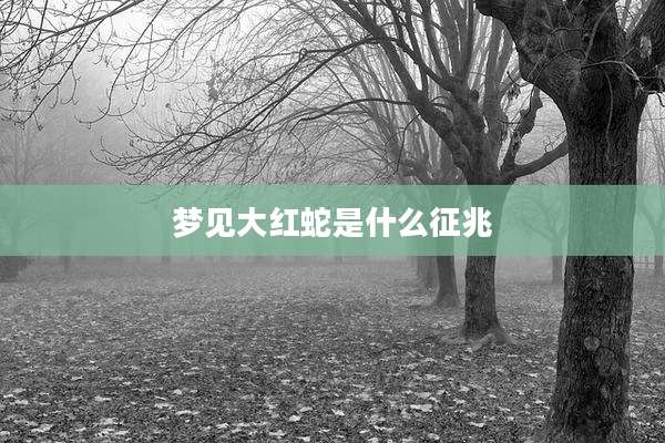 梦见大红蛇是什么征兆