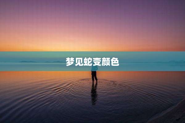 梦见蛇变颜色