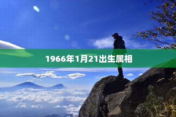1966年1月21出生属相