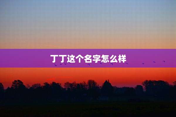丁丁这个名字怎么样