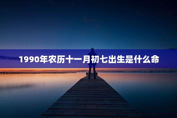 1990年农历十一月初七出生是什么命