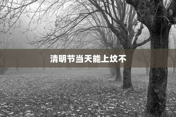 清明节当天能上坟不