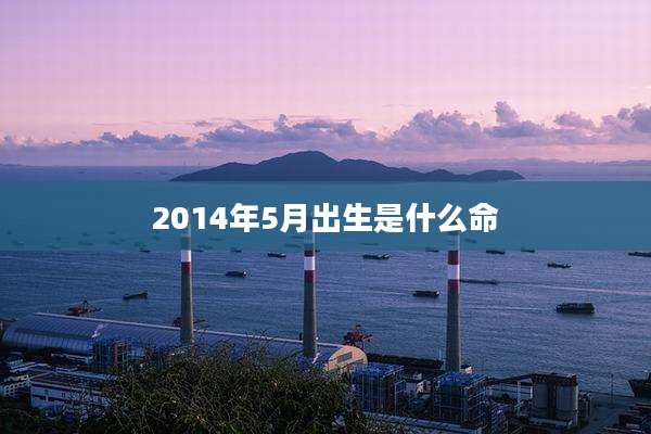 2014年5月出生是什么命