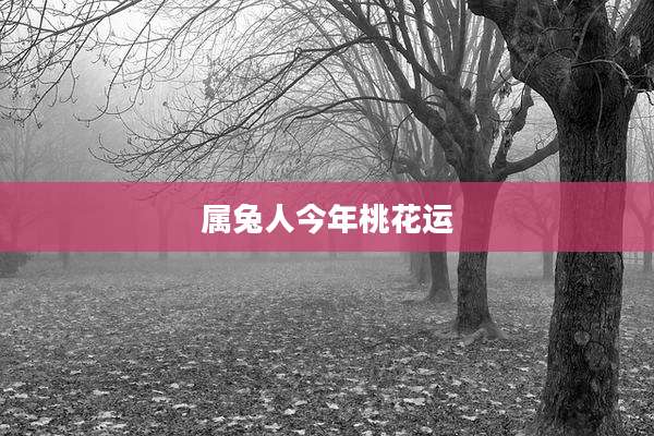 属兔人今年桃花运