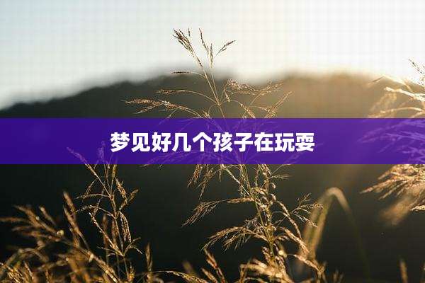 梦见好几个孩子在玩耍