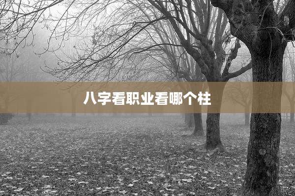 八字看职业看哪个柱