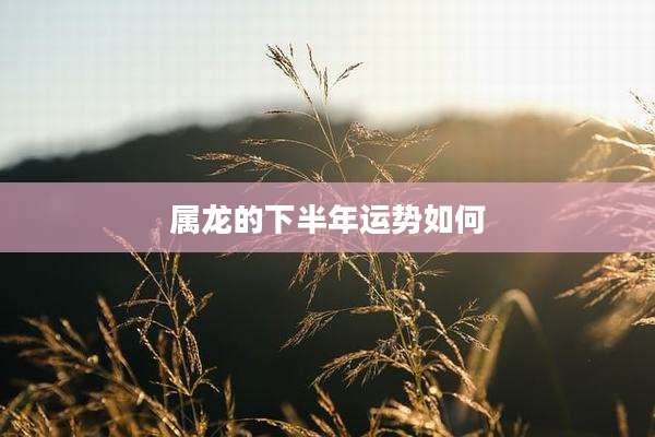 属龙的下半年运势如何