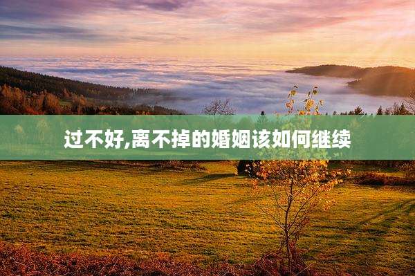 过不好,离不掉的婚姻该如何继续