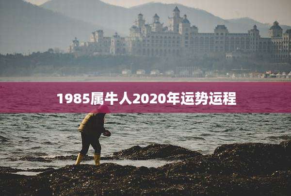 1985属牛人2020年运势运程