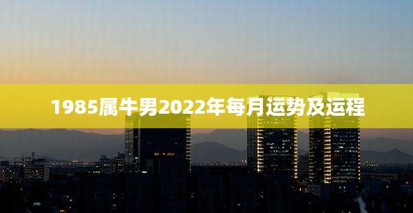 1985属牛男2022年每月运势及运程