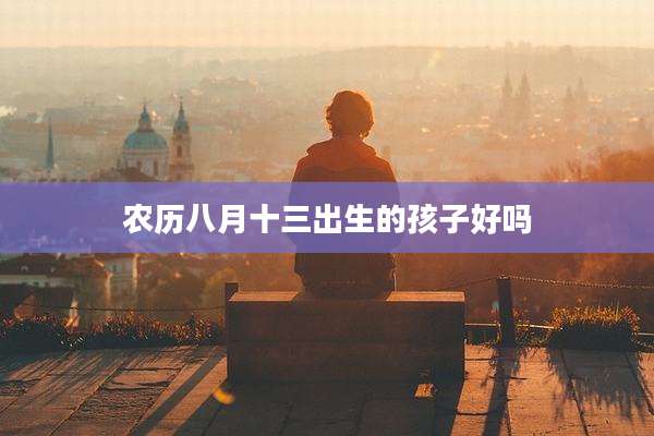 农历八月十三出生的孩子好吗