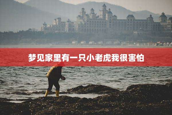 梦见家里有一只小老虎我很害怕