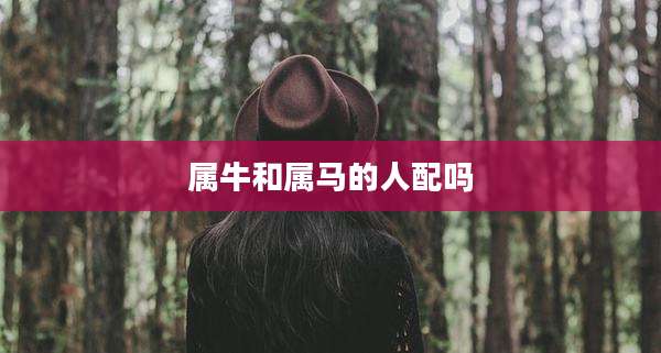属牛和属马的人配吗