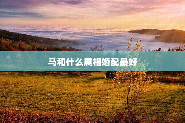 马和什么属相婚配最好