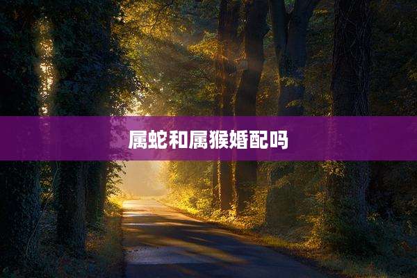 属蛇和属猴婚配吗