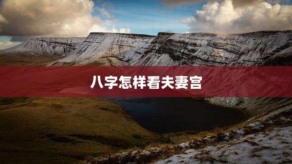 八字怎样看夫妻宫