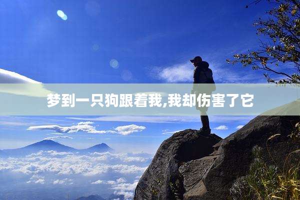 梦到一只狗跟着我,我却伤害了它