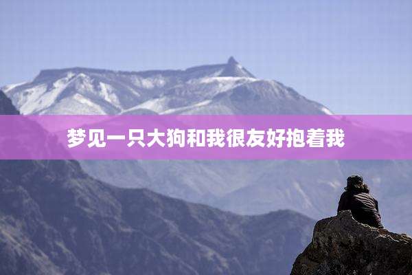 梦见一只大狗和我很友好抱着我