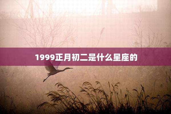 1999正月初二是什么星座的