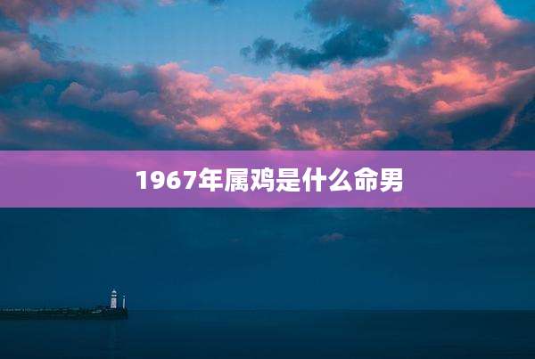 1967年属鸡是什么命男