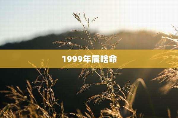 1999年属啥命