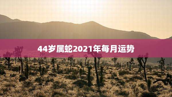 44岁属蛇2021年每月运势