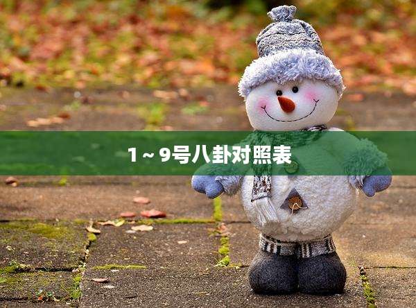 1~9号八卦对照表