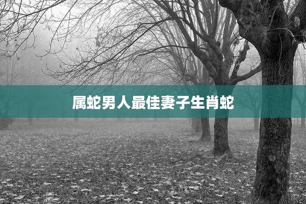 属蛇男人最佳妻子生肖蛇