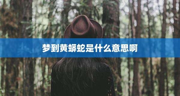 梦到黄蟒蛇是什么意思啊