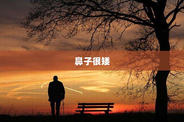 鼻子很矮