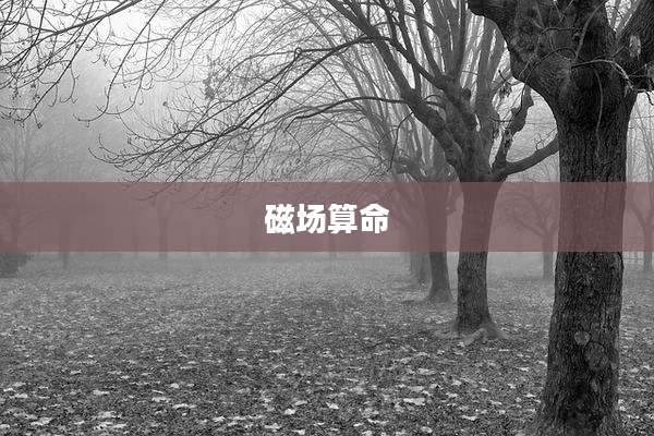 磁场算命