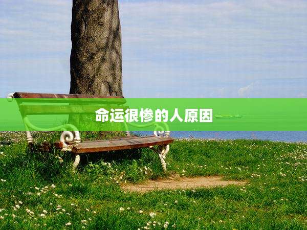 命运很惨的人原因