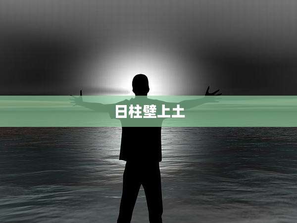 日柱壁上土