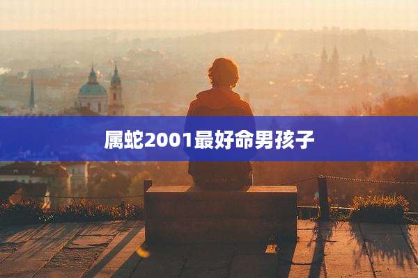 属蛇2001最好命男孩子