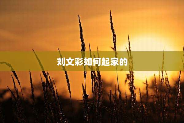 刘文彩如何起家的