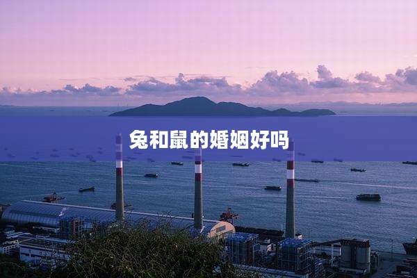 兔和鼠的婚姻好吗