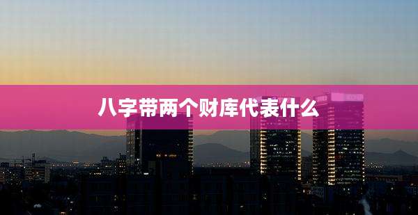 八字带两个财库代表什么