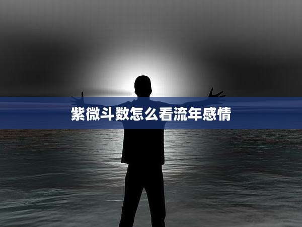 紫微斗数怎么看流年感情