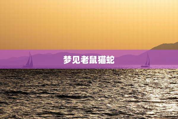 梦见老鼠猫蛇
