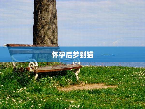 怀孕后梦到猫