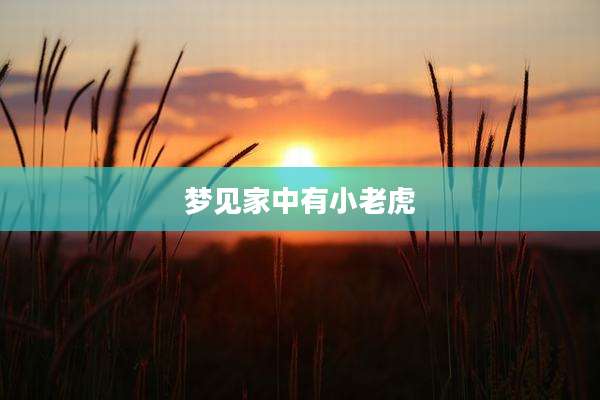 梦见家中有小老虎