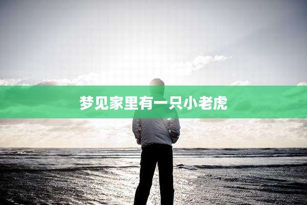 梦见家里有一只小老虎