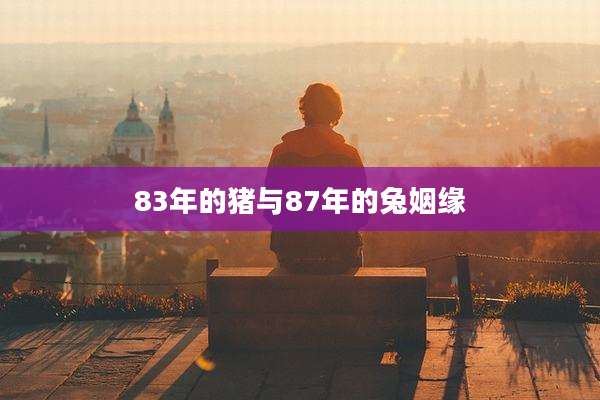 83年的猪与87年的兔姻缘