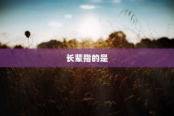 长辈指的是