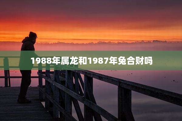 1988年属龙和1987年兔合财吗